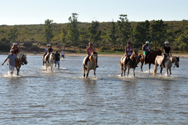 Didim'de atlı safari turları ilgi çekiyor